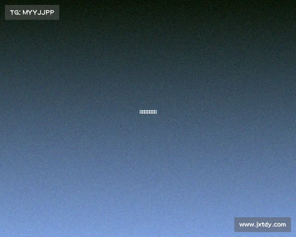 法国对秘鲁结果